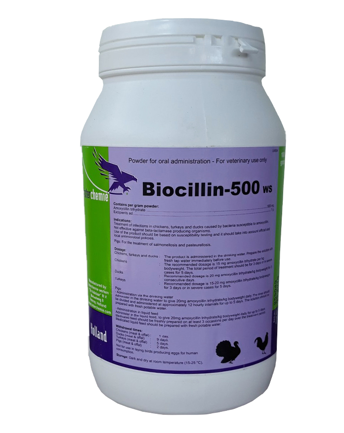 Thuốc Biocilin-500 WS